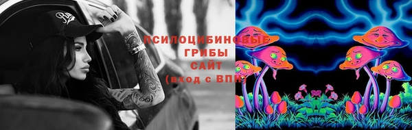 ПСИЛОЦИБИНОВЫЕ ГРИБЫ Балахна