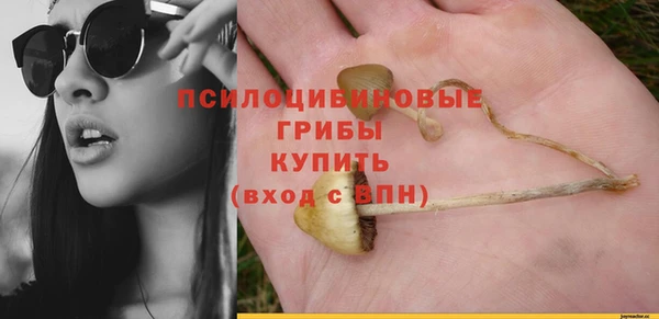 ПСИЛОЦИБИНОВЫЕ ГРИБЫ Балахна