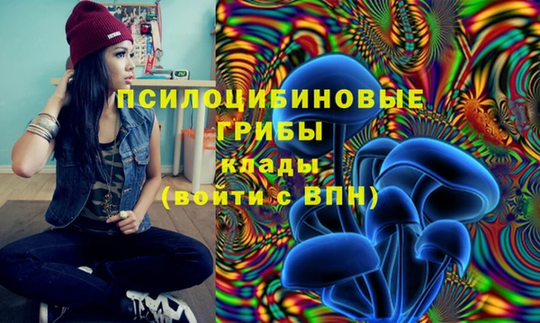 тгк Беломорск