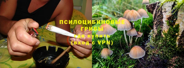 ПСИЛОЦИБИНОВЫЕ ГРИБЫ Балахна