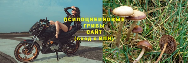 ПСИЛОЦИБИНОВЫЕ ГРИБЫ Балахна