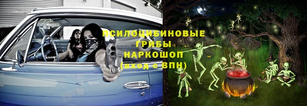 ПСИЛОЦИБИНОВЫЕ ГРИБЫ Балахна